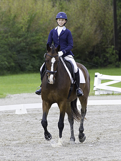 DressageStandings
