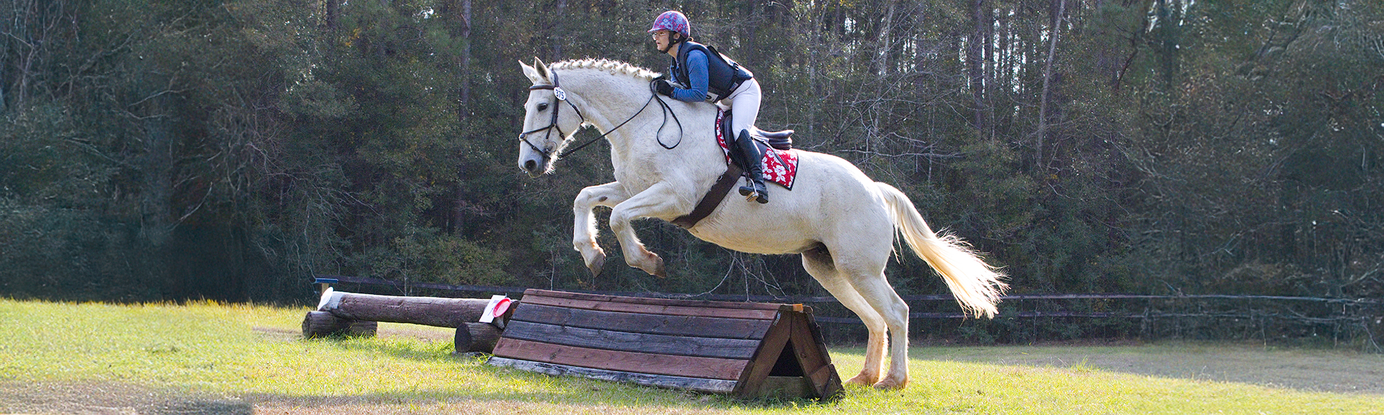 Home:Jumping2