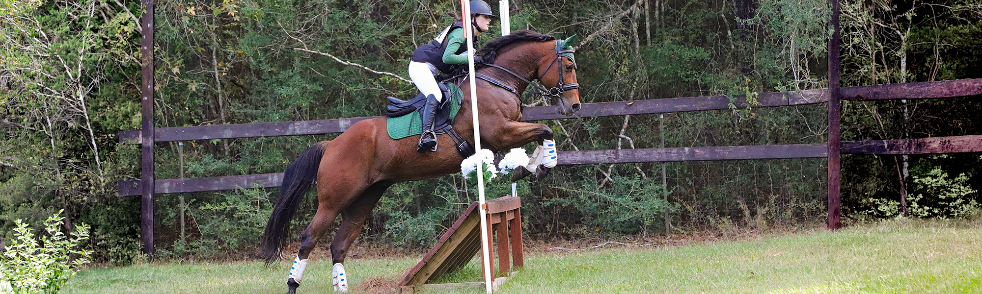 Home:Jumping2